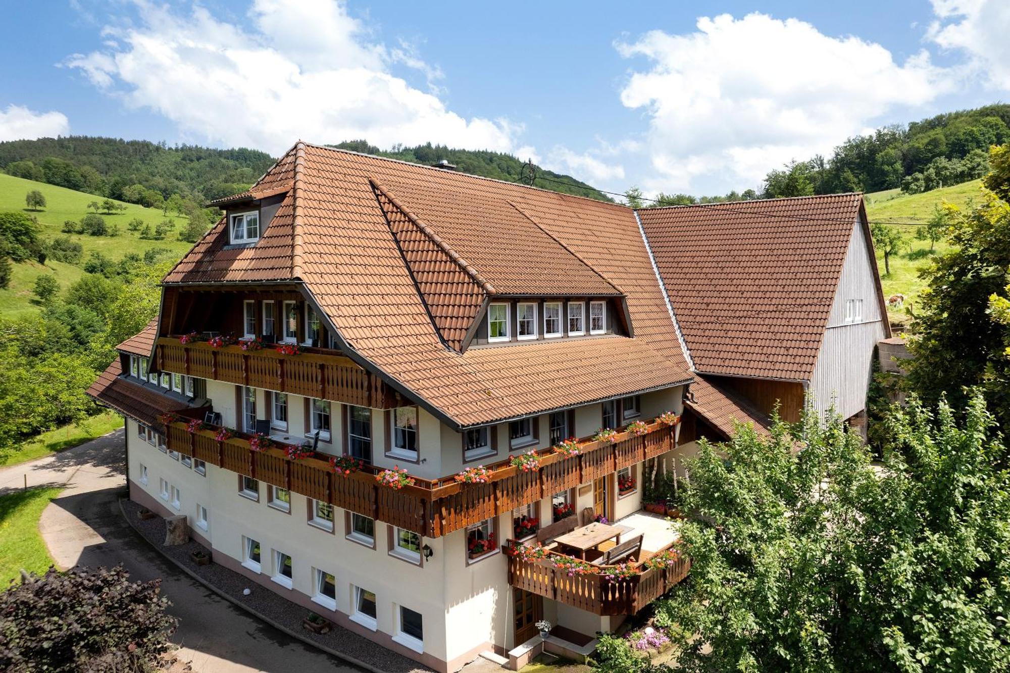 Ferienwohnung Danielenhof Freiamt Exterior foto